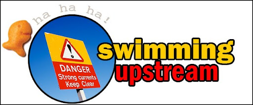 Still Swimming Upstream Blog