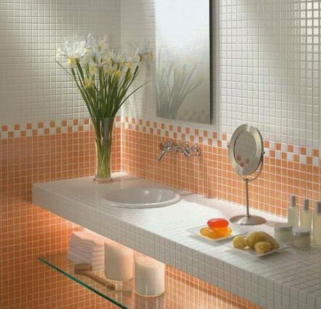 Advice and recommendations for cleaning bathrooms