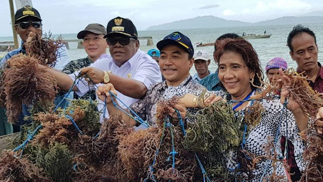 4 Benda Alternatif Ramah Lingkungan Pengganti Plastik