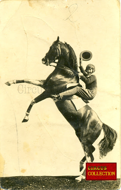 Carte postale du jeune Fredy Knie senior âgé de 9 ans sur son cheval qui cambre