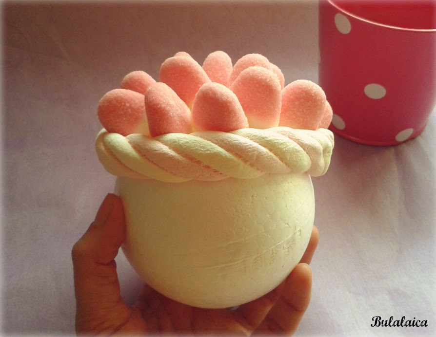 Maceta básica de chuches