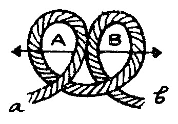 Tali temali : Simpul Erat, Simpul Kembar, Simpul Kursi, Simpul Pangkal ...