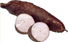 Yuca Yuca alimento de Ucayali