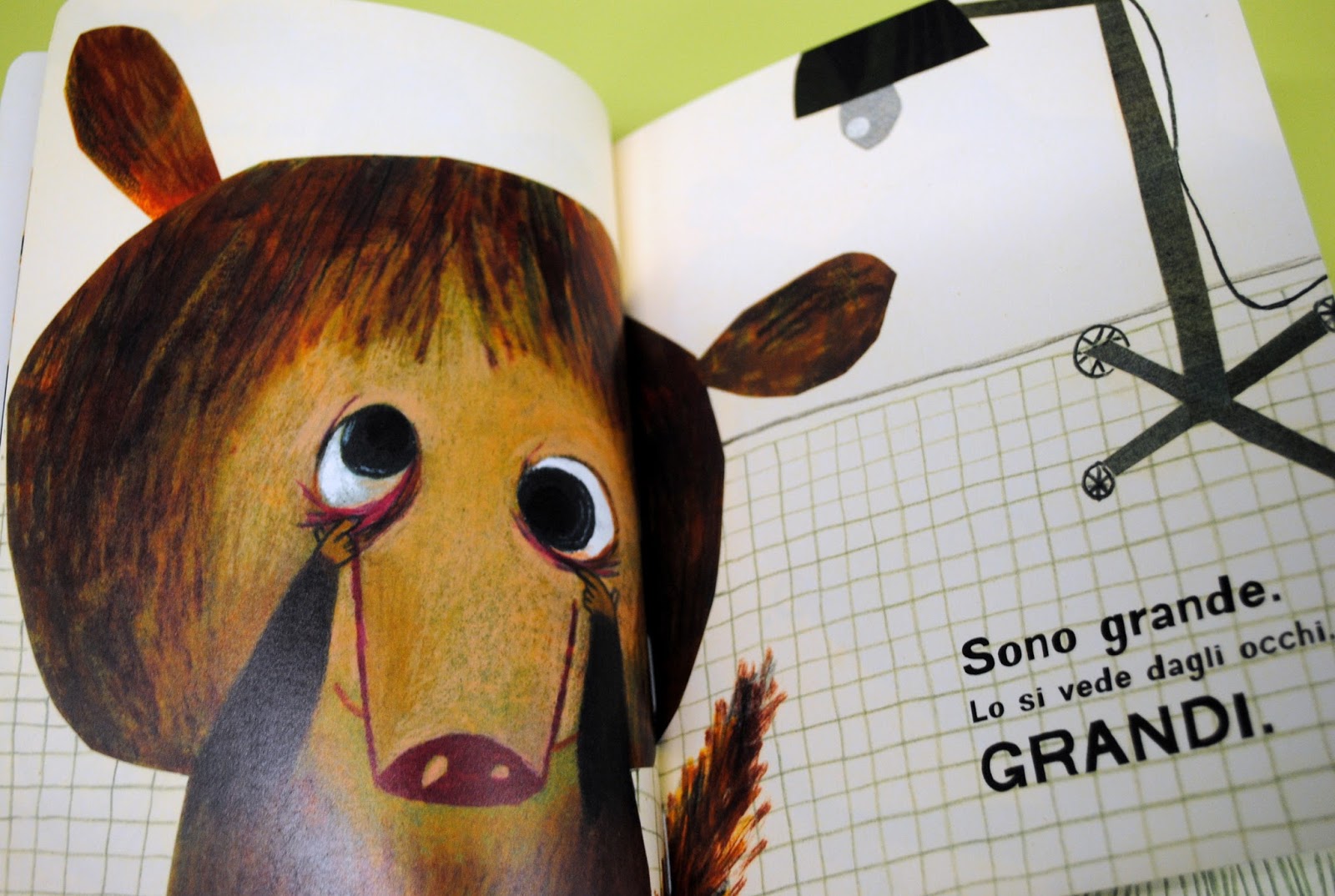 Storie a colori Terni Piccolo Grande Bubo