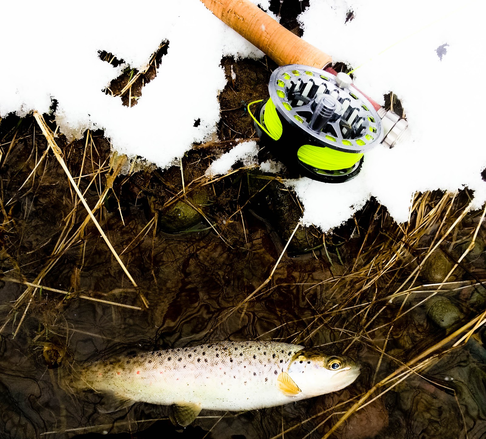 Pocono Fly Fishing Pohopoco Creek, Monroe County, PA March 16 2013