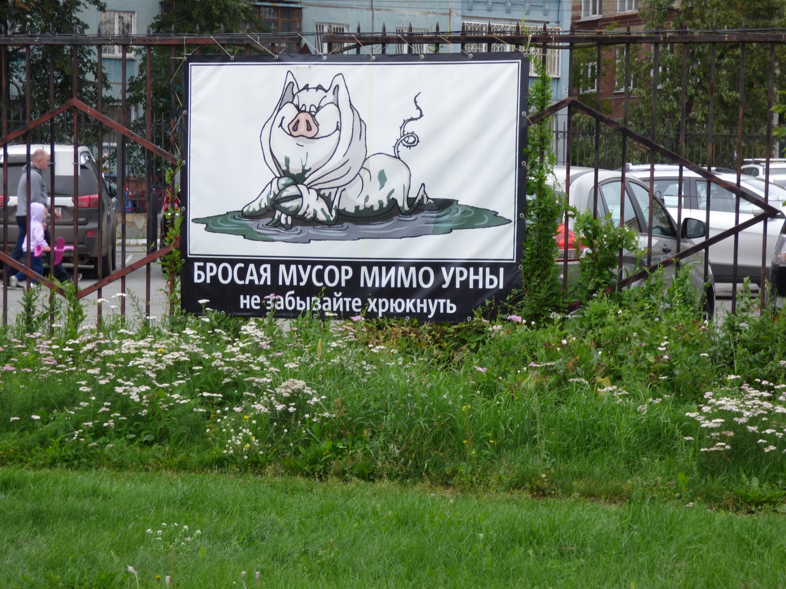 Бросая мусор не забудьте хрюкнуть картинки