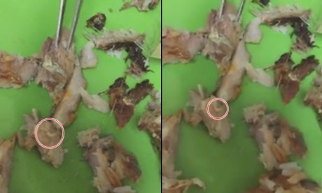 Hủy hợp đồng, đóng cửa quán cơm có dòi tại KTX ĐH Quốc gia - Ảnh 2 Huy hop dong, dong cua quan com co doi tai KTX DH Quoc gia - Anh 2