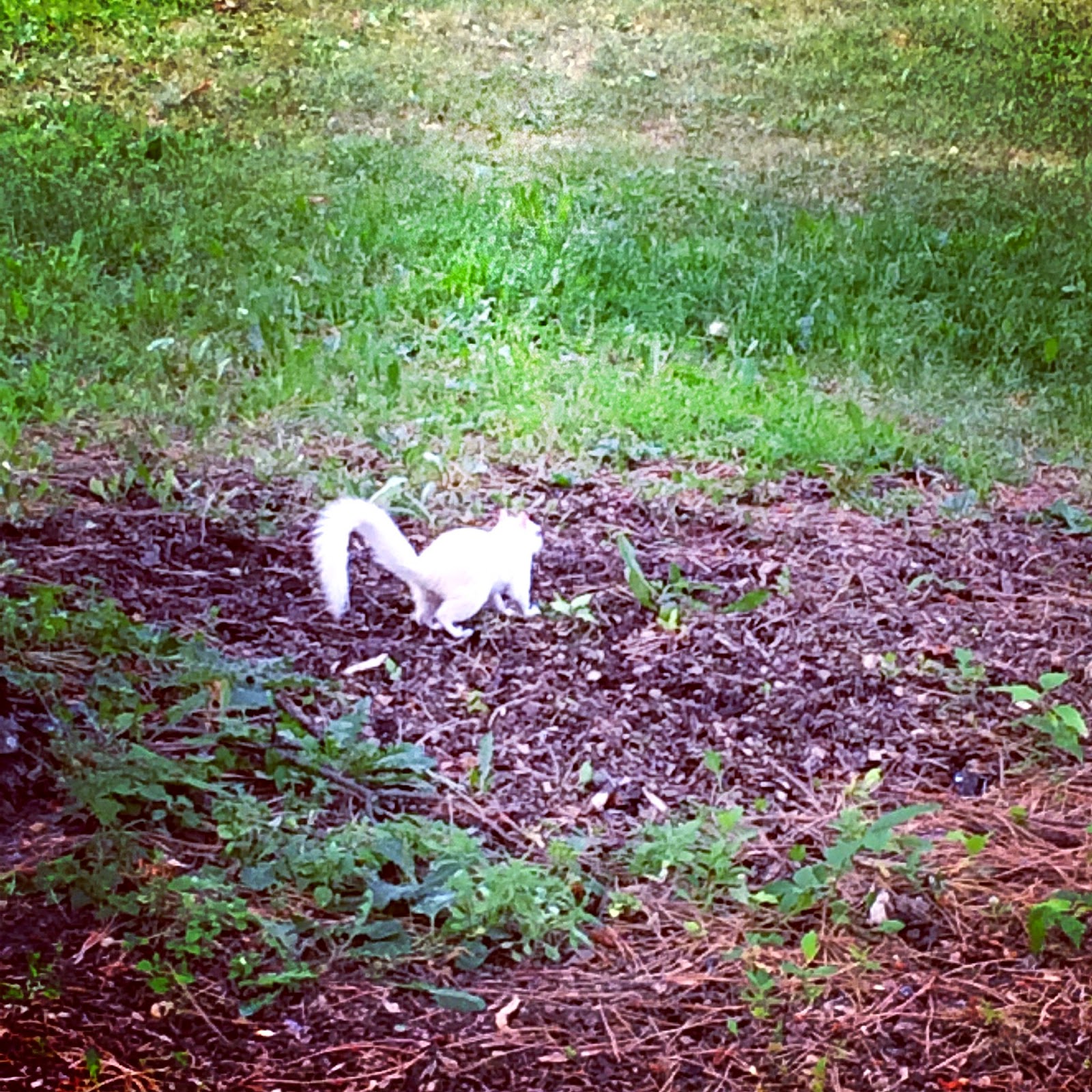 Minneapolis and St. Paul Trip