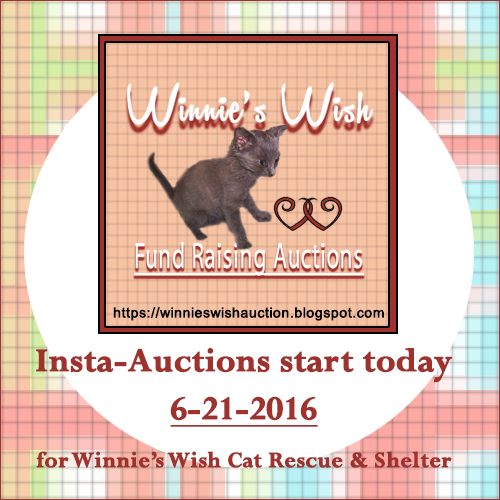 Winnie's Wish Auction