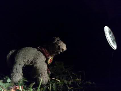 Easter Sunday At The Lake