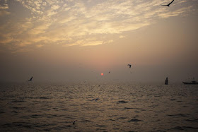 skywatch, sky, birds, boat, dawn, sassoon docks, mumbai, india, arabian sea, 