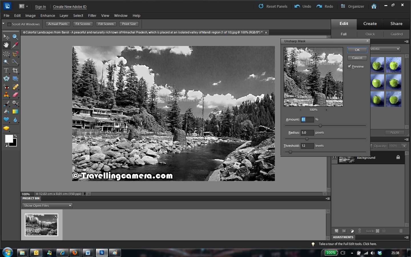 Black and White Conversion in Adobe Elements How to