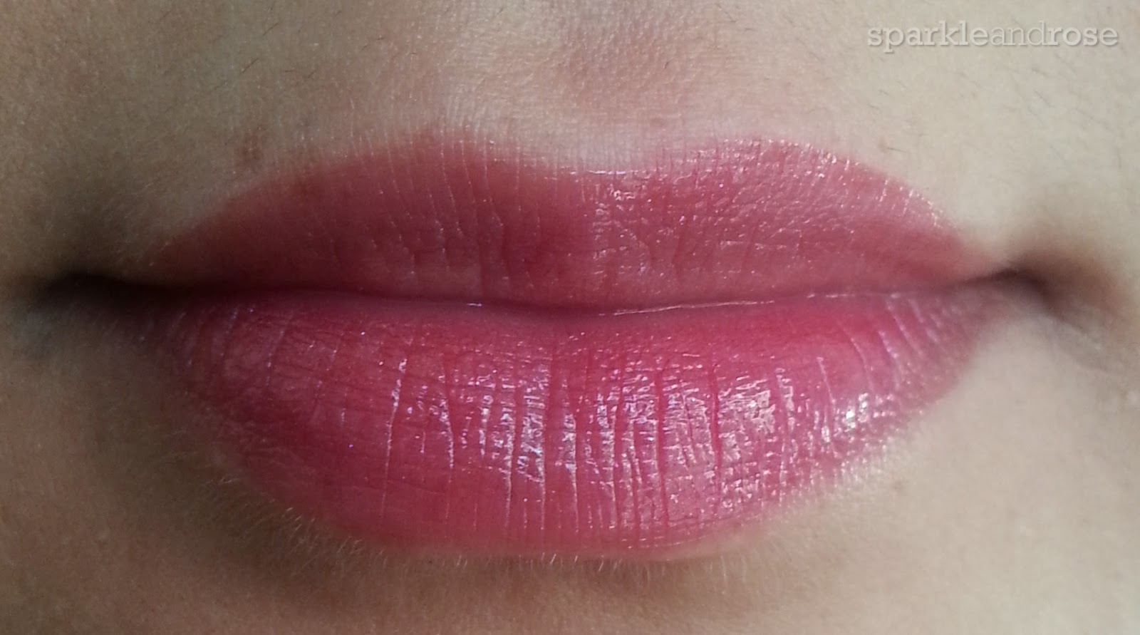 Sparkle and Rose Review L'oreal Paris Shine Caresse Lip Stain/Gloss