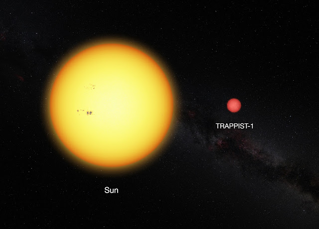 Comparison between the Sun and the ultracool dwarf star TRAPPIST-1
