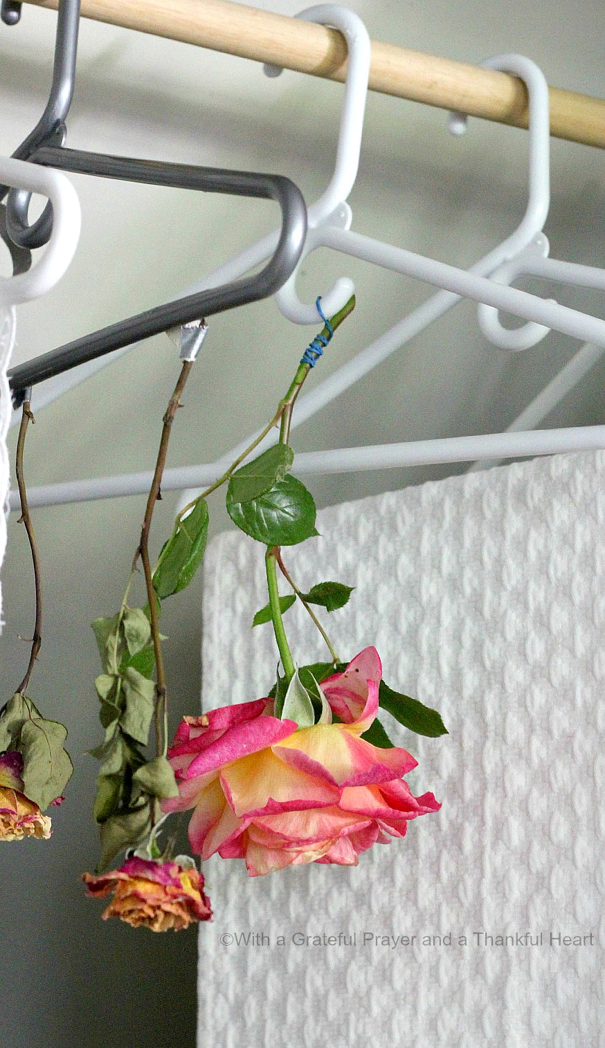 How to Dry Roses Grateful Prayer Thankful Heart