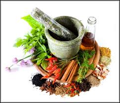 pengertian tanaman obat herbal