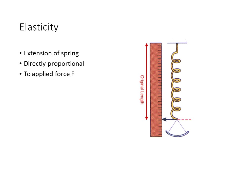 Y11 igcse Physics Hooke's Law and elasticity