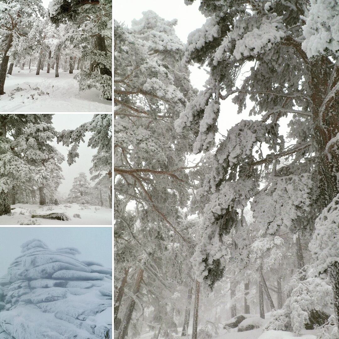 MI RINCON: ENERO Y FEBRERO MOVIDITO