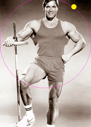 Arnold Schwarzenegger
