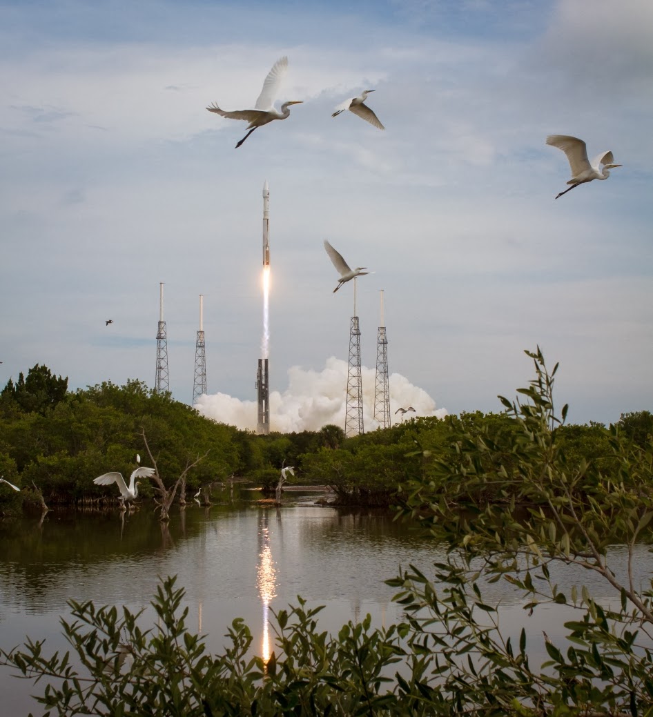 Suburban spaceman NASA MAVEN Launch Taking Flight at Cape Canaveral