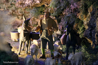 Pastor en la Cuenca del Belén de la Diputación