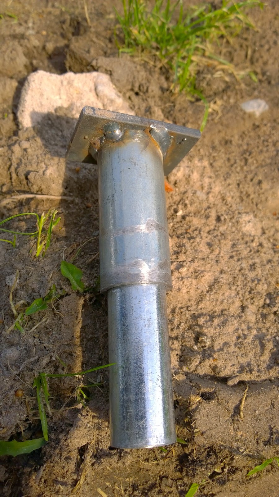 Winterharte Kakteen Ein Bluhender Oleander Verschiedene Krauter