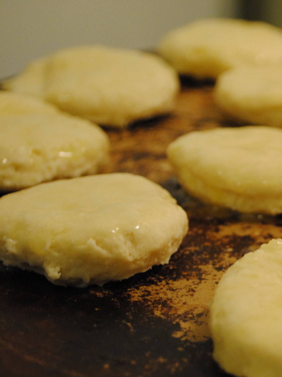 CreamYogurt Biscuits