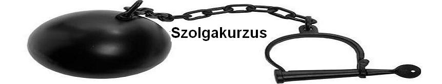 Szolgakurzus