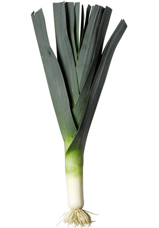 leek.jpg