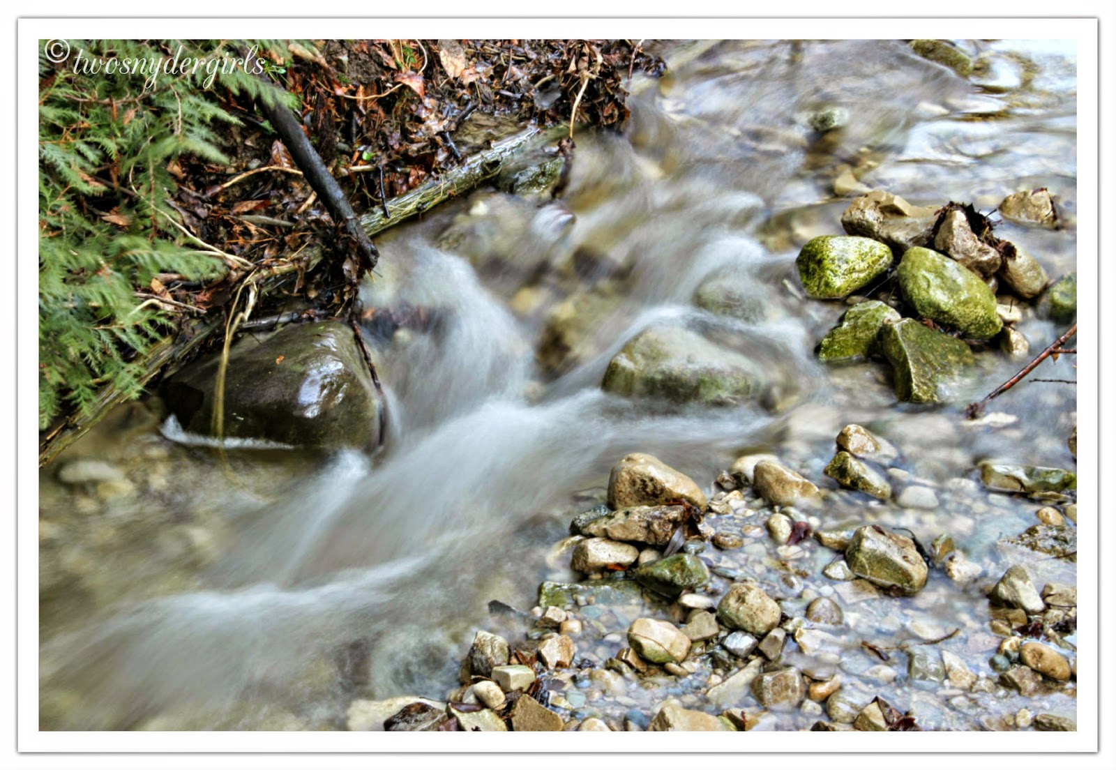 A stream
