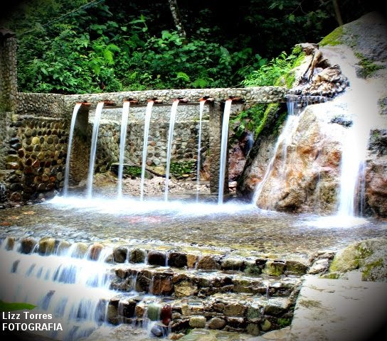 SALAZAR DE LAS PALMAS