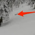 A Camouflaged Snow Leopard Gave These Skiers The FRIGHT Of Their Lives.