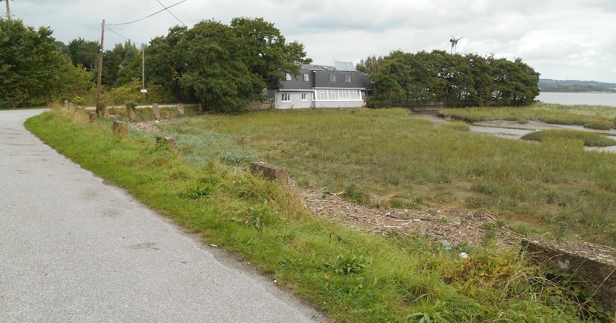 A lifetime of Islands Island 360 Hop Island, Rochestown, County Cork