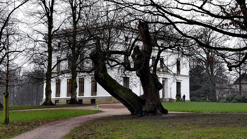 Mano S Welt Hamburger Baumtraume