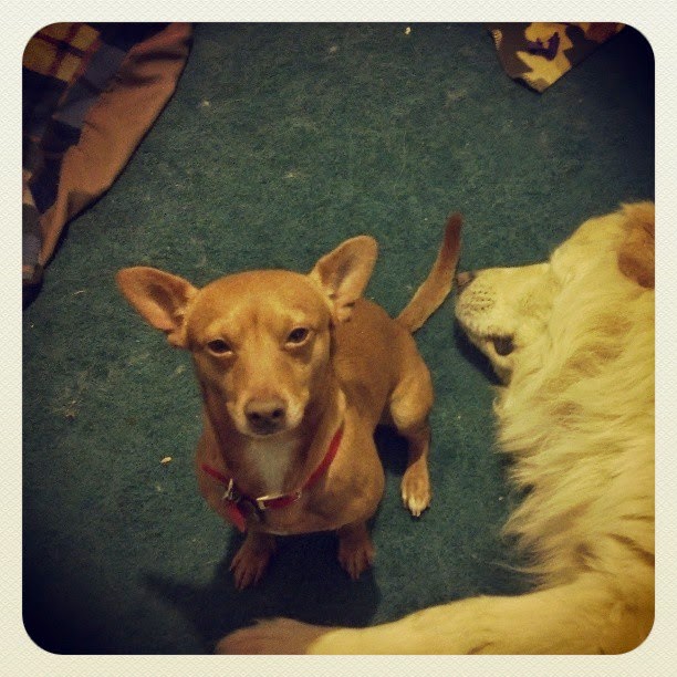 Make Him Play With Me