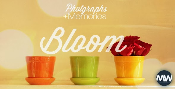 VideoHive Photographs and Memories Bloom