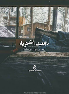 ���� ���� ������ �� ���� ������