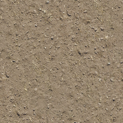 Seamless Sand Dirt Ground Texture