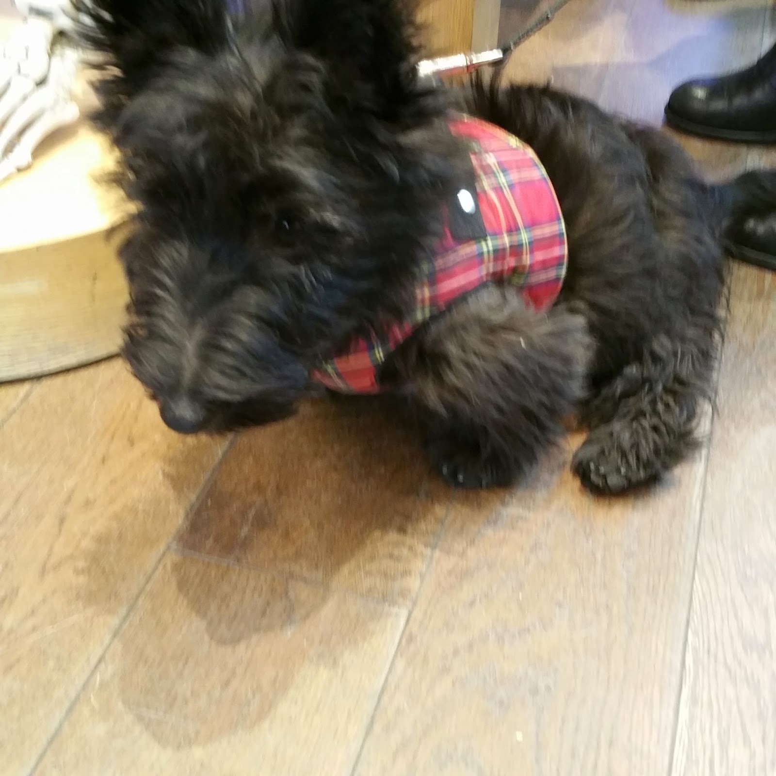 Terresa's Steals and Deals! =) Recycle Skincare Bottles and Containers