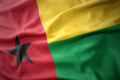 conosaba guinÉ bissau organiza salÃo nacional de tecnolÓgica