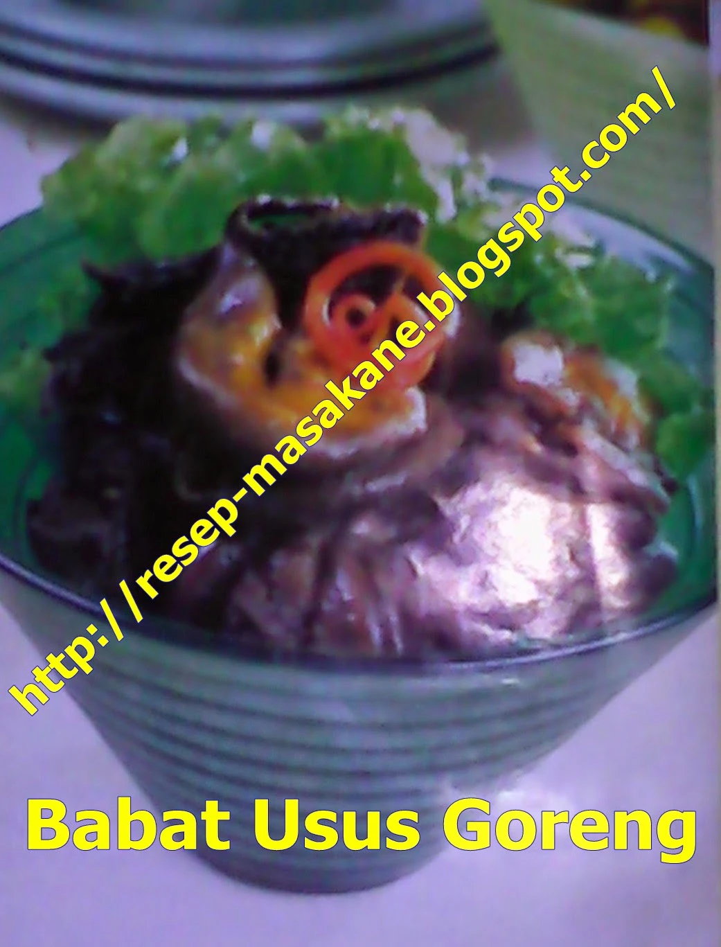 Babat Usus Goreng Empuk dan Gurih