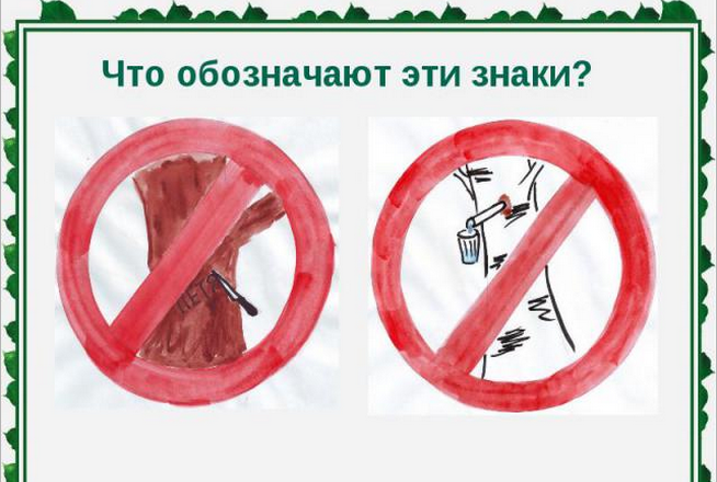 Космическая роль зеленых растений Выполнила: ученица 4-1 класса МАОУ гимназии № 