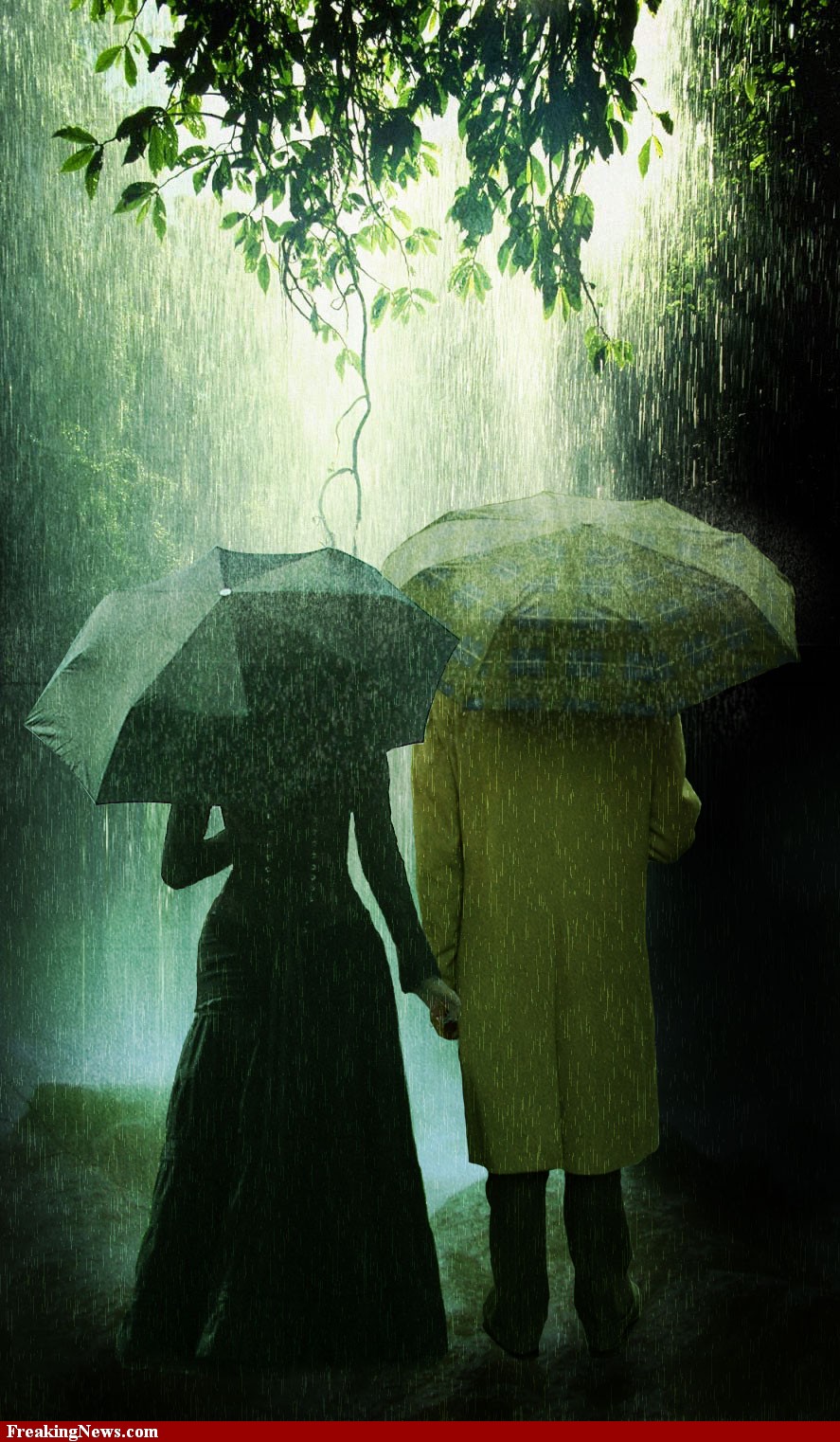 Rain it up 2. Человек дождя. Человек под дождем. Человек под зонтом. Лес под дождем.