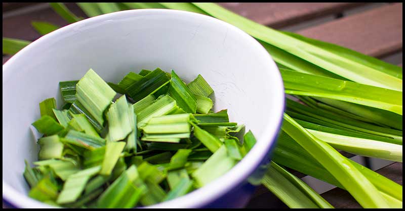 Pandan Leaves For Insomnia - Dr. Farrah MD