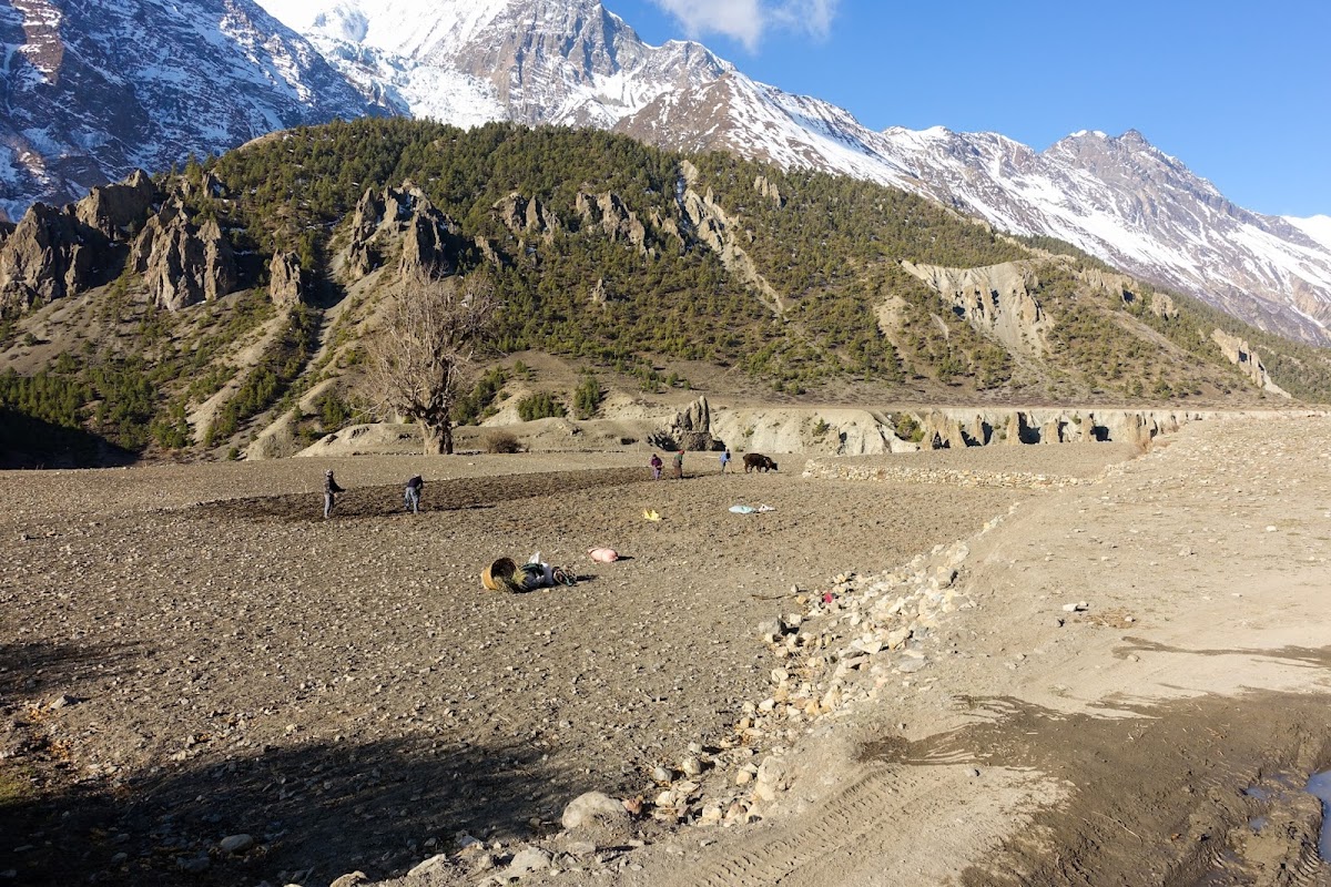 200км по красно-белым черточкам.. Around Annapurna. март-апрель 2017