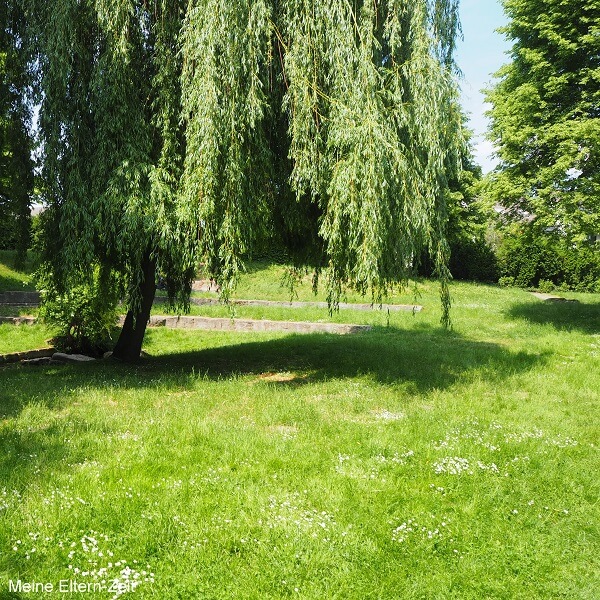 Film Und Serien Wunsche An Kaze Archiv Seite 2 Comicforum