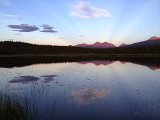 Denali National Park