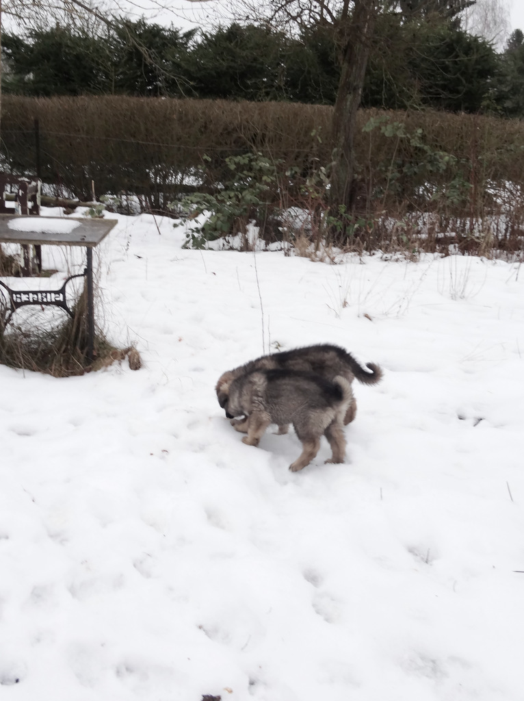 princessgreeneye Grete und eine "Fundsache"&hellip;&hellip;&hellip;&hellip;&hellip;&hellip;..