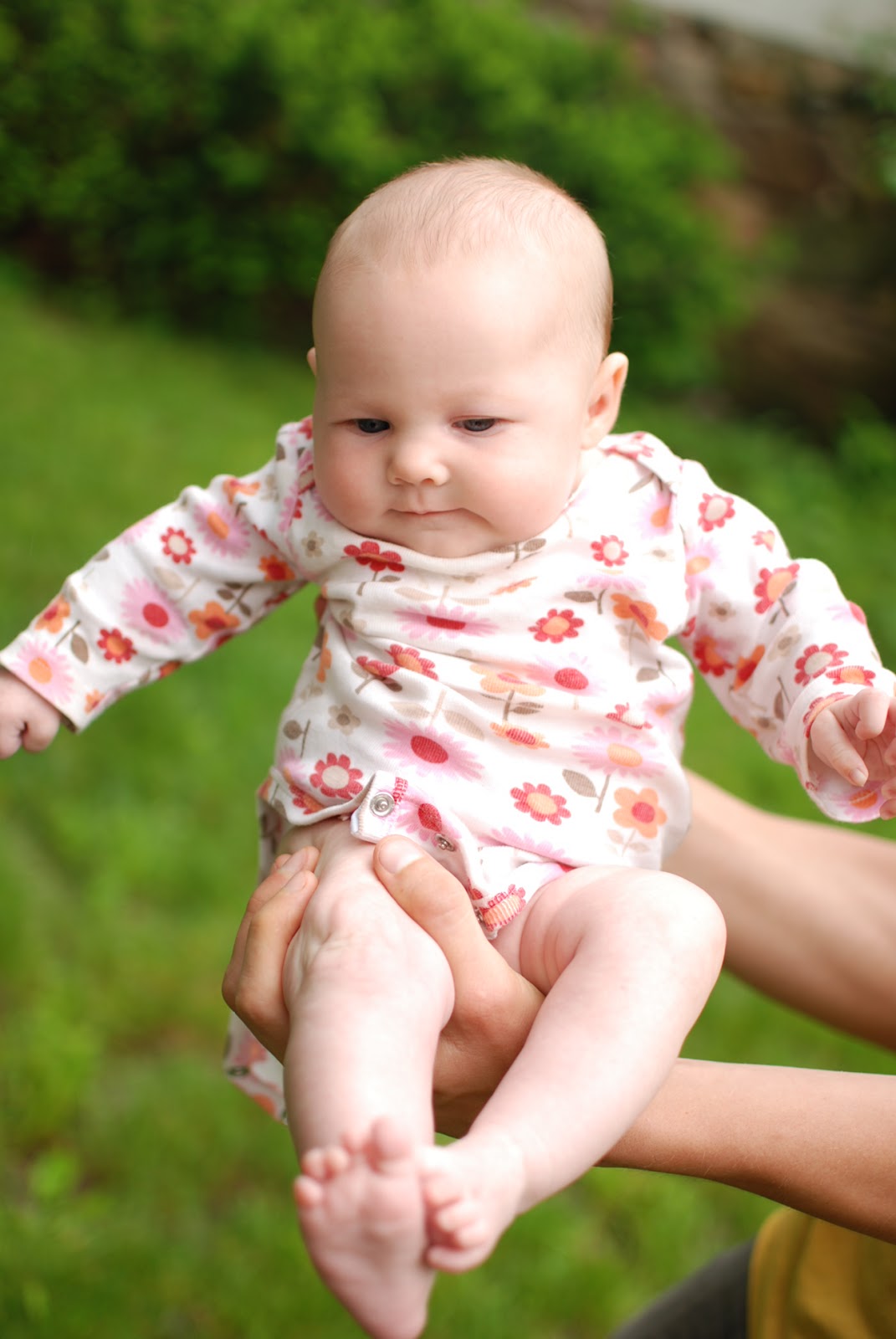 Stand And Deliver Ivy Is 2 Months and Change Stand And Deliver Ivy Is 2 Months and Change