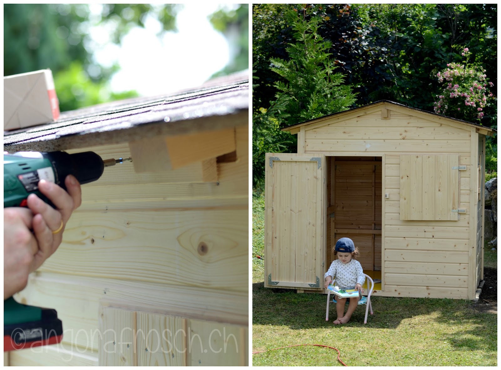 Angorafrosch Der Traum Vom Haus